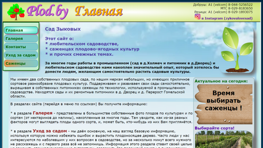 Скриншот сайта