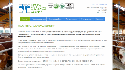 Скриншот сайта