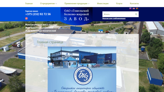 Скриншот сайта