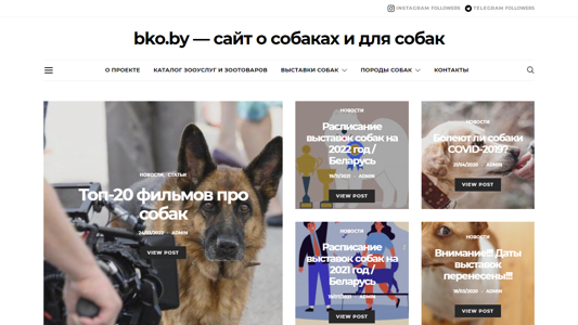 Скриншот сайта
