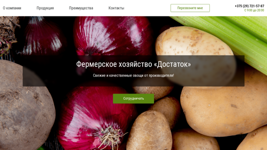 Скриншот сайта