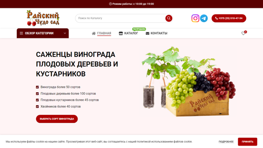 Скриншот сайта