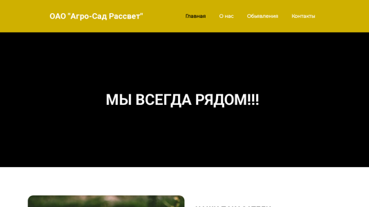 Скриншот сайта