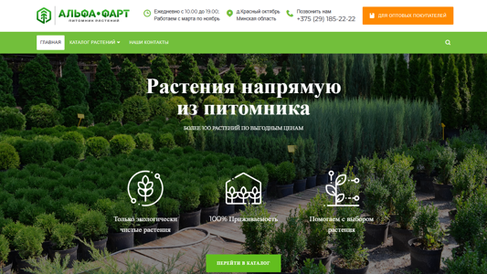 Скриншот сайта