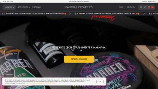 Скриншот сайта